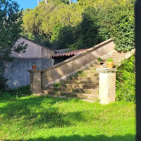 Architecte Tamaris Sur 滨海拉塞讷
