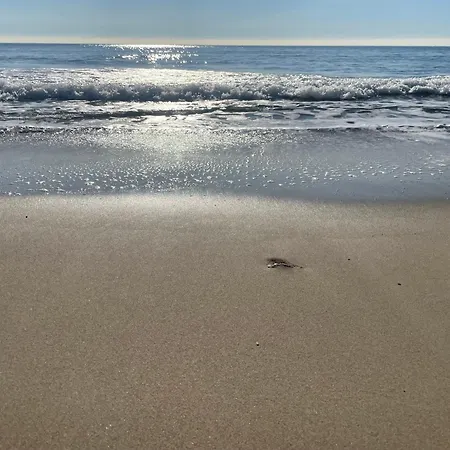 Vila Architecte Tamaris Sur *